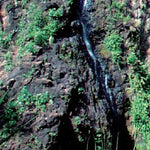 Litchfield NP to Darwin-10 Preview 3
