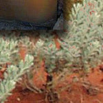 North Simpson Desert-23 Preview 3