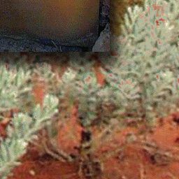 North Simpson Desert-23 Preview 3