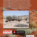 Outback NSW-24 Preview 1