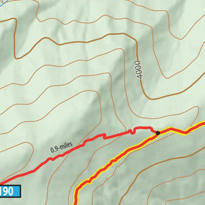 Mount Mitchell State Park and Black Mountain Campground Trail Network Preview 2