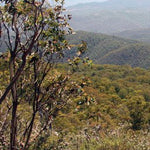 Snowy River-3 Preview 3