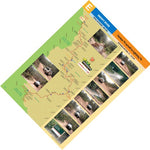 Snowy River-8 Preview 1