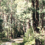 Snowy River-30 Preview 2