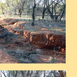 North Simpson Desert-16 Preview 3