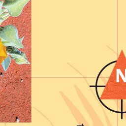 North Simpson Desert-13 Preview 2