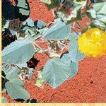 North Simpson Desert-13 Preview 3