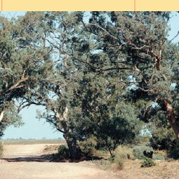 North Flinders Ranges-13 Preview 3