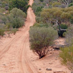Googs Track-7 Preview 3