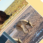 Tanami Road-13 Preview 3