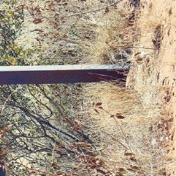 Tanami Road-17 Preview 3