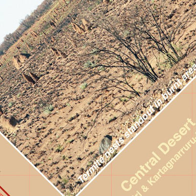 Tanami Road-15 Preview 3