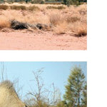 Great Central Road-3 Preview 3