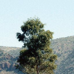 Great Central Road-18 Preview 2