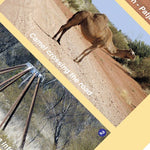 Great Central Road-10 Preview 3