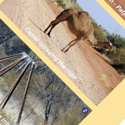 Great Central Road-10 Preview 3