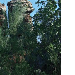 Gulf Savannah Country-3 Preview 3