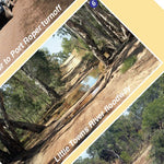 Gulf Savannah Country-22 Preview 3