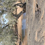 Gulf Savannah Country-10 Preview 3
