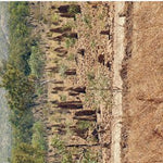 Gulf Savannah Country-24 Preview 3