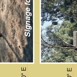 Gulf Savannah Country-23 Preview 2