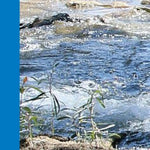 Gulf Savannah Country-27 Preview 2