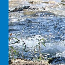 Gulf Savannah Country-27 Preview 2