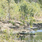 Gulf Savannah Country-27 Preview 3