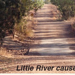 Gulf Savannah Country-18 Preview 3