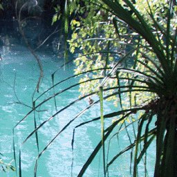 Gulf Savannah Country-28 Preview 2