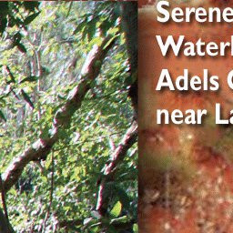 Gulf Savannah Country-28 Preview 3