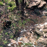 The Grampians-3 Preview 3