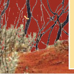 The Grampians-2 Preview 3