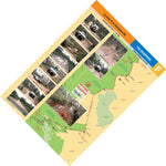 The Grampians-9 Preview 1