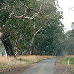 The Grampians-11 Preview 3