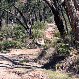 The Grampians-29 Preview 3