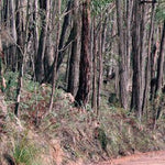 The Grampians-23 Preview 3