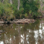 The Kimberley-3 Preview 3