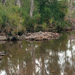 The Kimberley-3 Preview 3