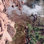 The Kimberley-14 Preview 2