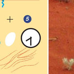 The Kimberley-2 Preview 3