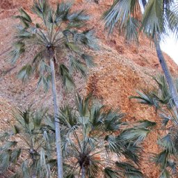The Kimberley-18 Preview 3