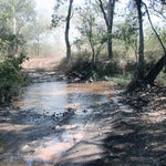 The Kimberley-25 Preview 3
