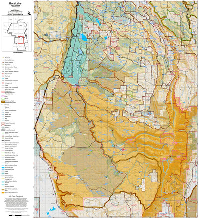 FieldMapDD_Pub_BacaLake Preview 1