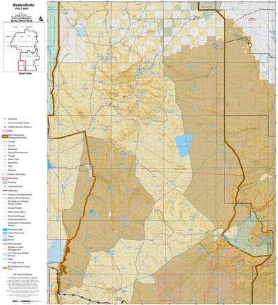 FieldMapDD_Pub_BeatysButte Preview 1
