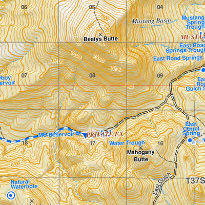 FieldMapDD_Pub_BeatysButte Preview 3