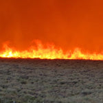 BIFZ Fire Maps 2022 Preview 2