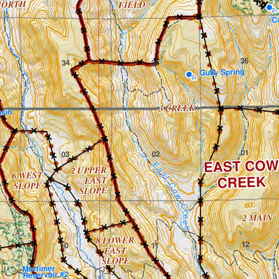FieldMapDD_Pub_Harney Preview 3