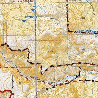 FieldMapDD_Pub_Venator Preview 3