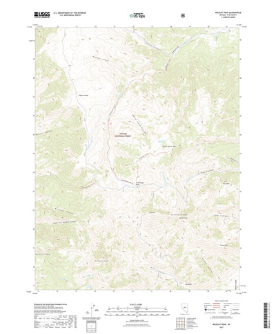 Wildcat Peak, NV (2021, 24000-Scale) Preview 1